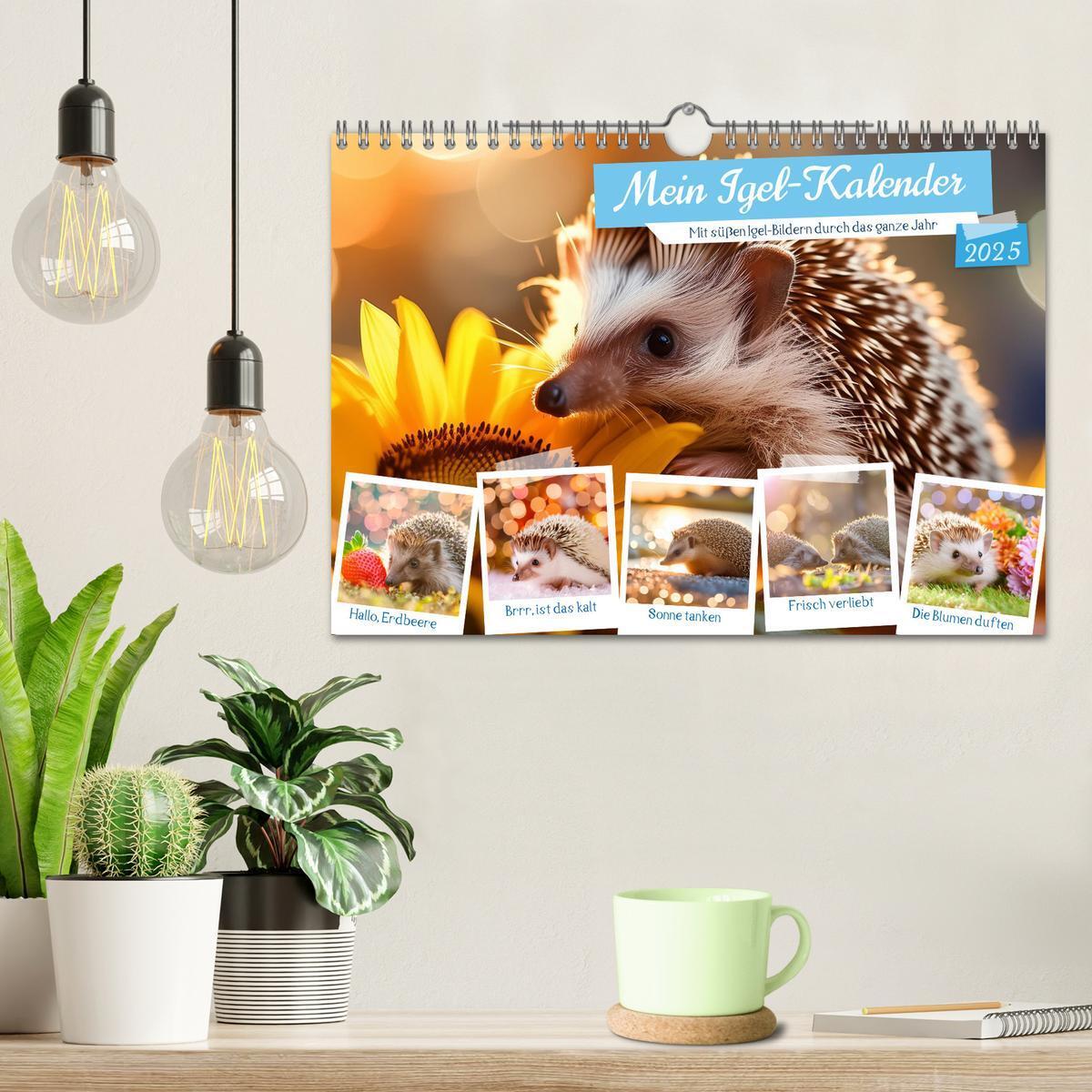 Bild: 9783435504527 | Mein Igel-Kalender (Wandkalender 2025 DIN A4 quer), CALVENDO...