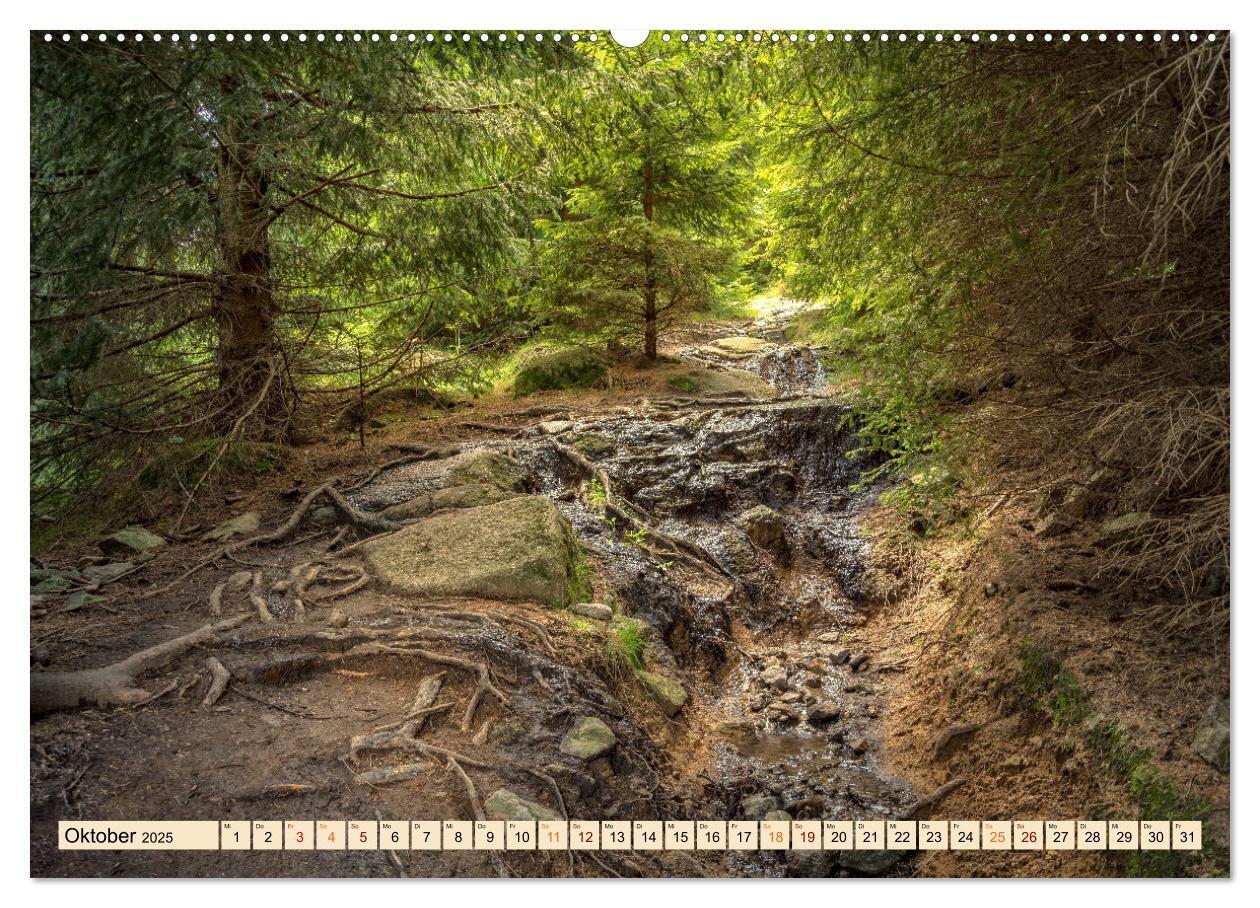 Bild: 9783435030286 | Harz - Urlaub (Wandkalender 2025 DIN A2 quer), CALVENDO Monatskalender