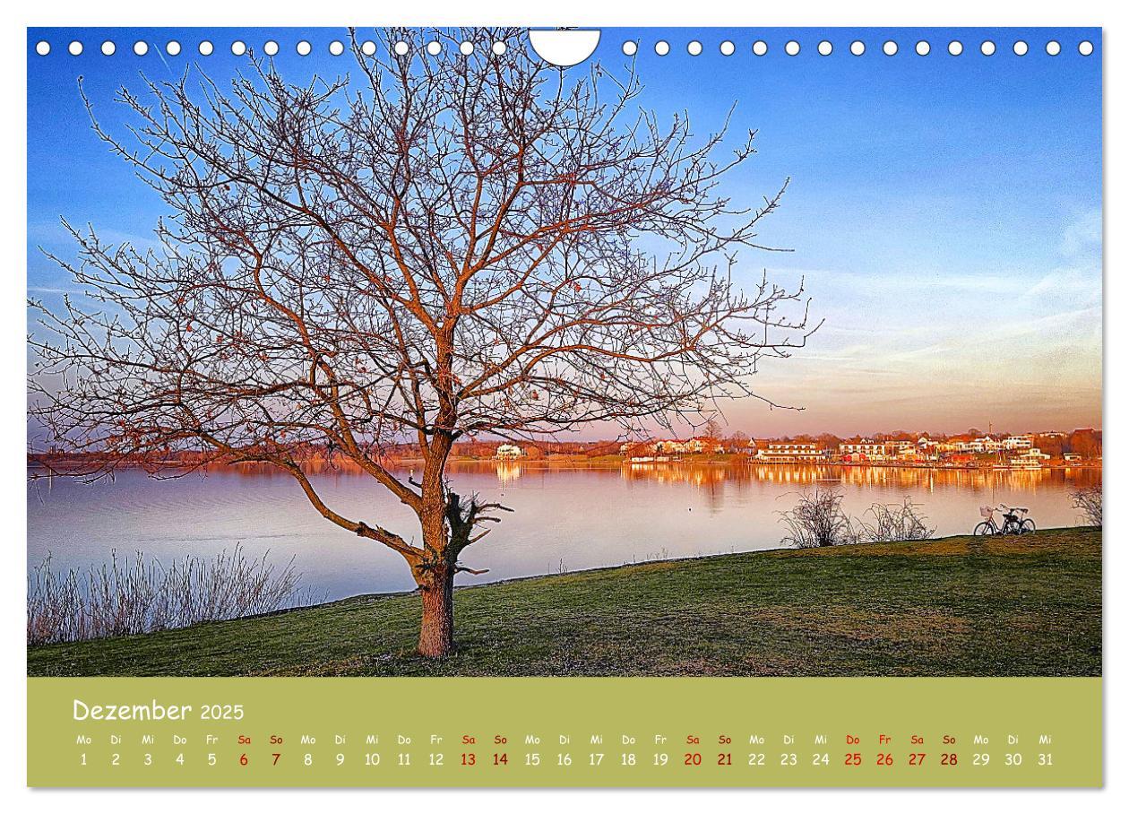 Bild: 9783383852213 | Mein Cospudener See (Wandkalender 2025 DIN A4 quer), CALVENDO...