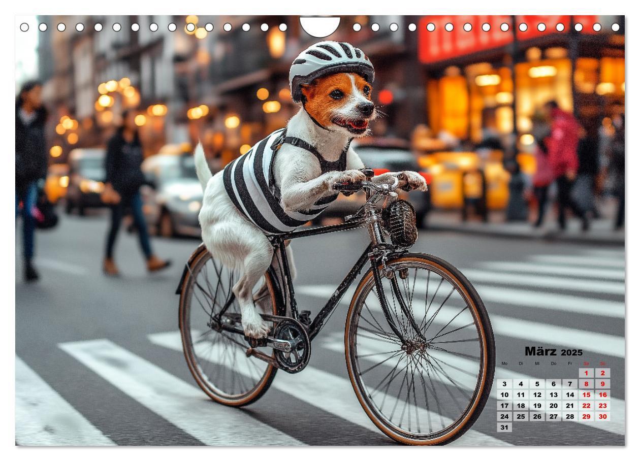 Bild: 9783457211748 | Süße Hunde cruisen - durch das Jahr mit dem Hundekalender...