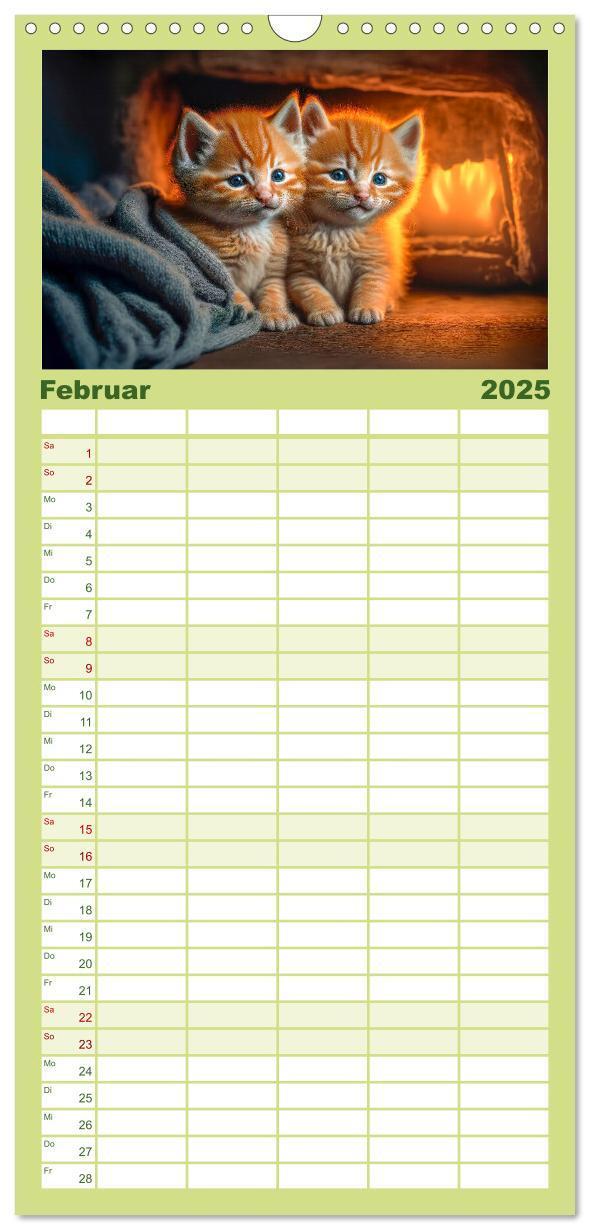 Bild: 9783457094228 | Familienplaner 2025 - Katzen Freunde mit 5 Spalten (Wandkalender,...