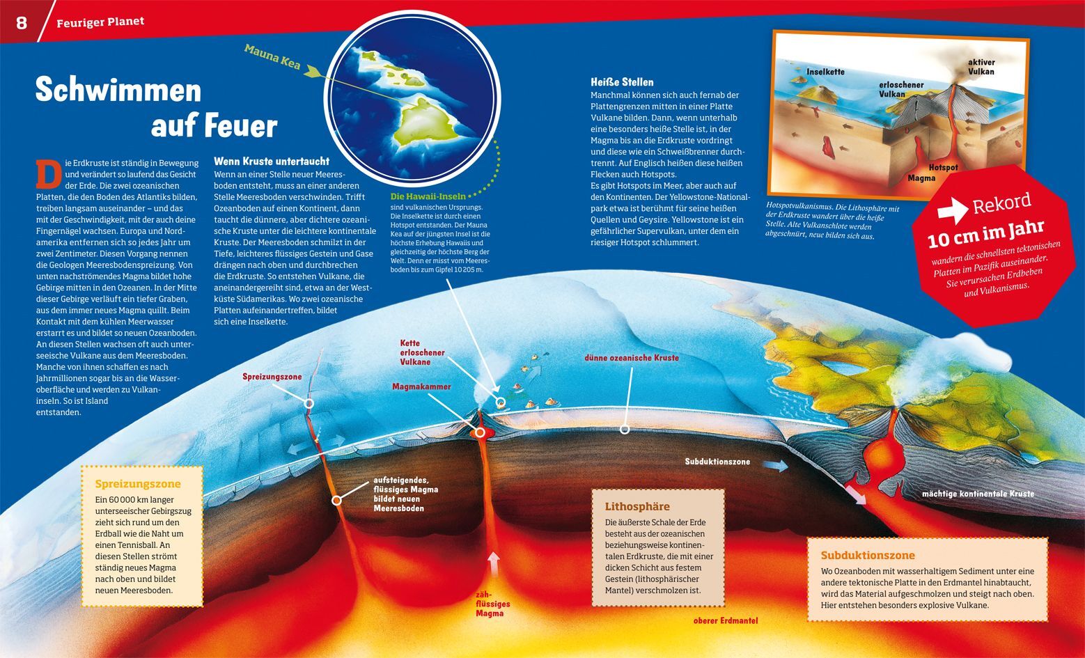 Bild: 9783788620448 | WAS IST WAS Band 57 Vulkane | Feuer aus der Tiefe | Manfred Baur