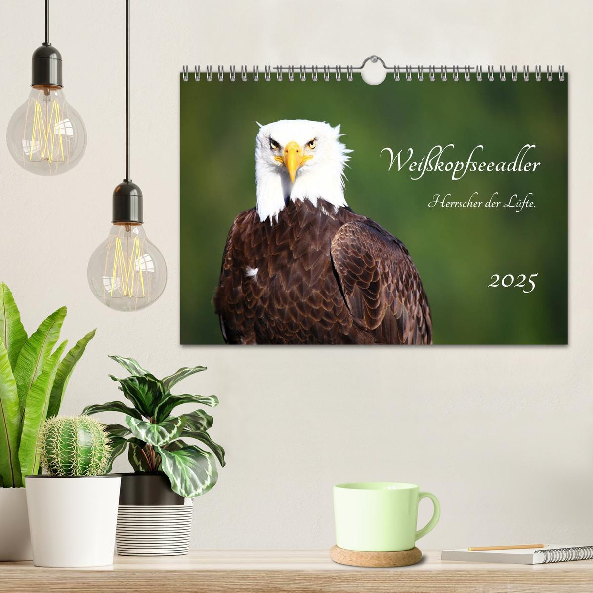 Bild: 9783435347636 | Weißkopfseeadler. Herrscher der Lüfte. 2025 (Wandkalender 2025 DIN...