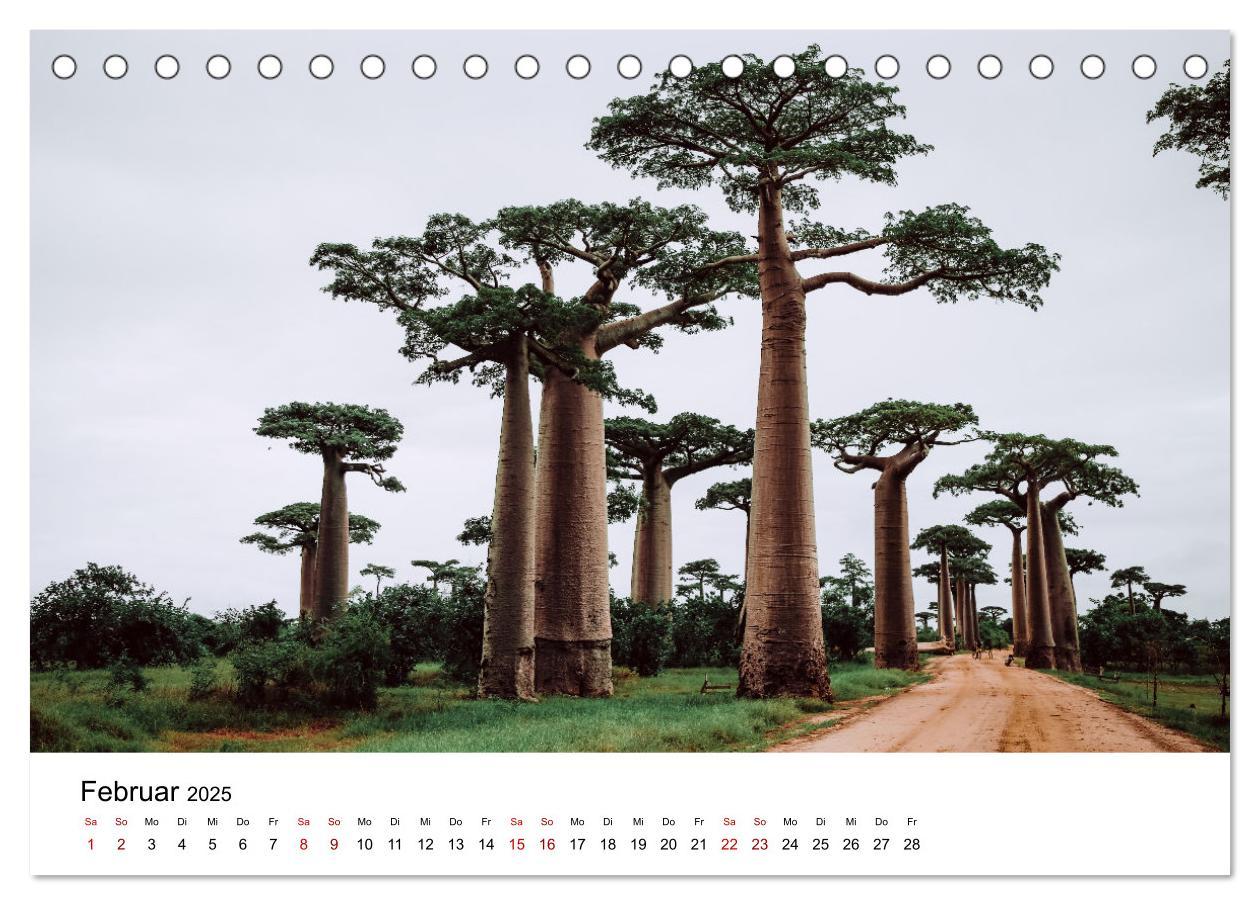 Bild: 9783383997129 | Naturparadies Madagaskar (Tischkalender 2025 DIN A5 quer), CALVENDO...