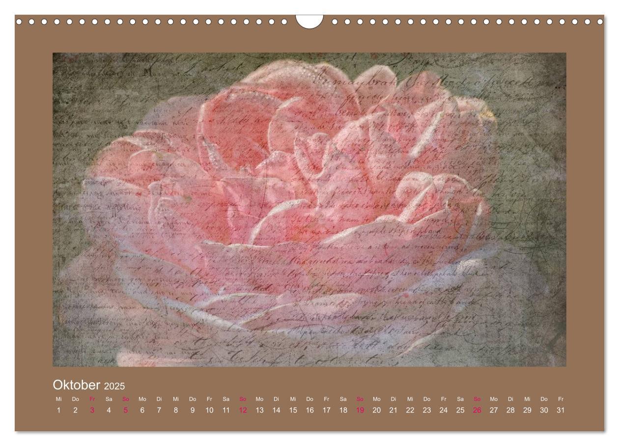 Bild: 9783435737130 | Romantische Rosen (Wandkalender 2025 DIN A3 quer), CALVENDO...