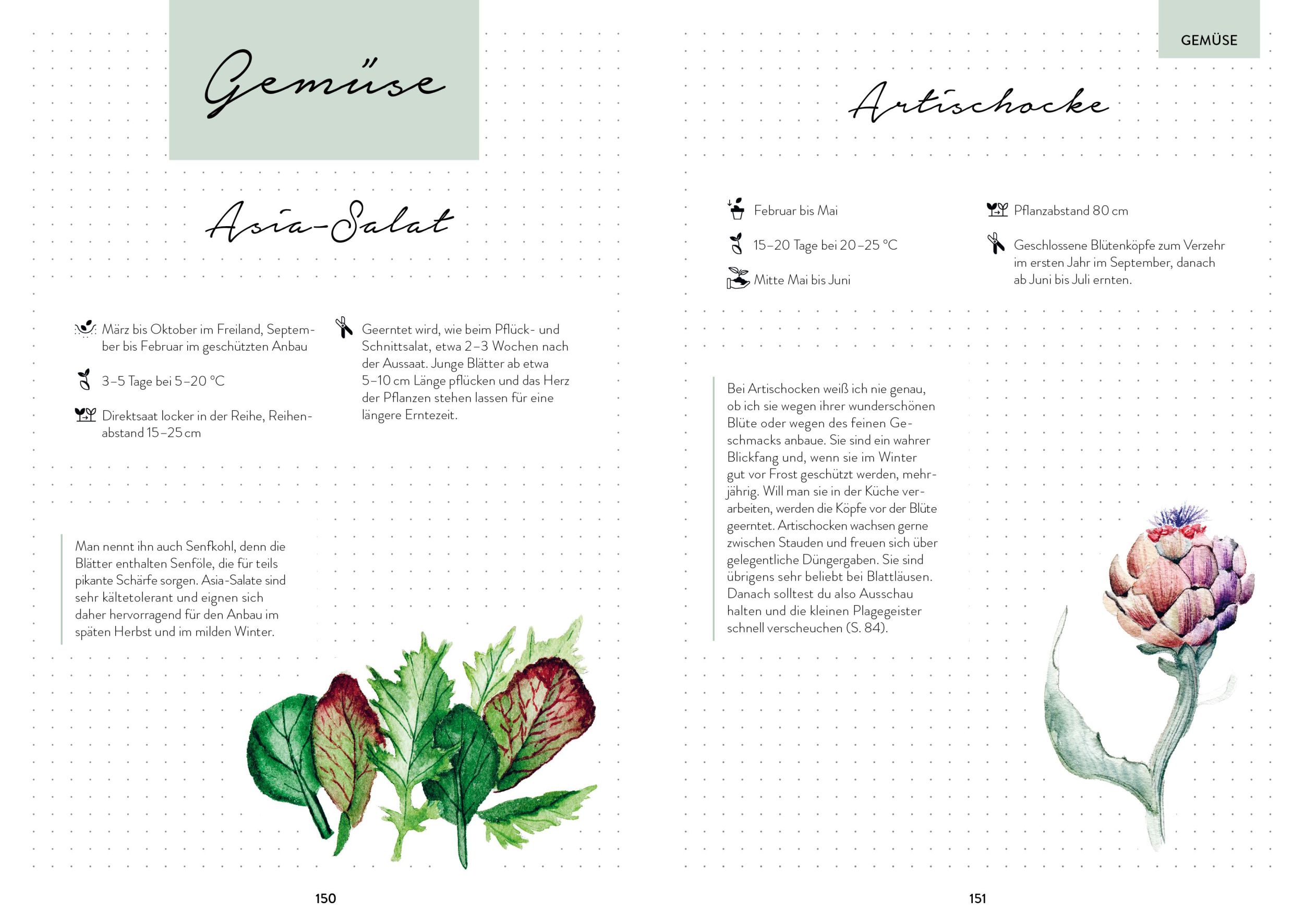 Bild: 9783745913415 | Hochbeet-Glück - Das illustrierte Gartenbuch | Sandra Jägers | Buch