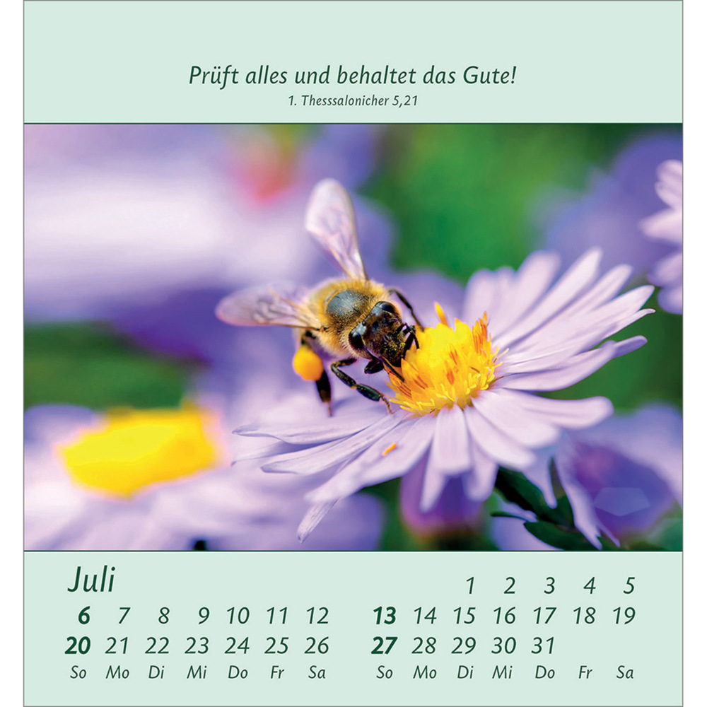 Bild: 9783754847053 | Kleine Blumengrüße 2025 | Kalender | Spiralbindung. Spiralbindung