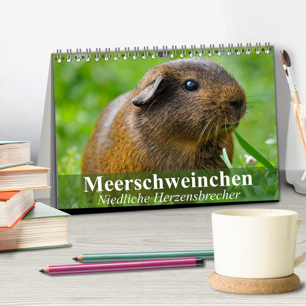 Bild: 9783435718887 | Meerschweinchen Niedliche Herzensbrecher (Tischkalender 2025 DIN A5...