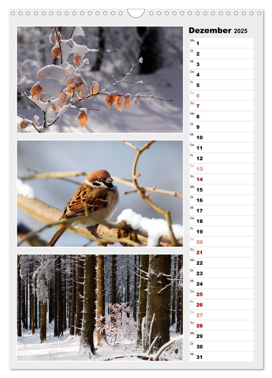 Bild: 9783435889280 | Zauberhafte Farben der Natur (Wandkalender 2025 DIN A3 hoch),...