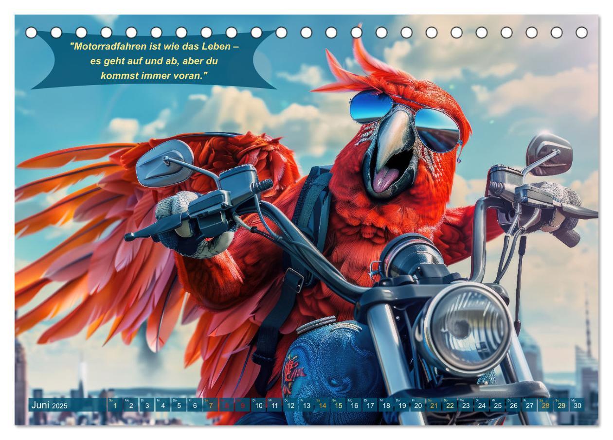 Bild: 9783457166116 | Tierisch lustige Motorradfahrer (Tischkalender 2025 DIN A5 quer),...