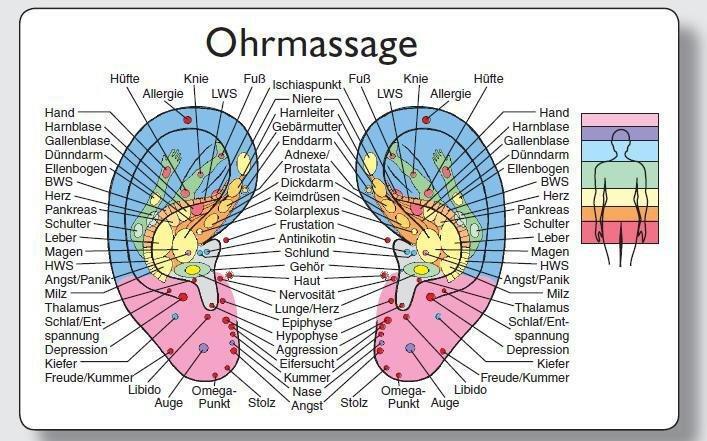 Cover: 9783442345779 | Reflexzonenmassagekarte "Ohr" | VE 25 | Kamphausen Media GmbH | Stück