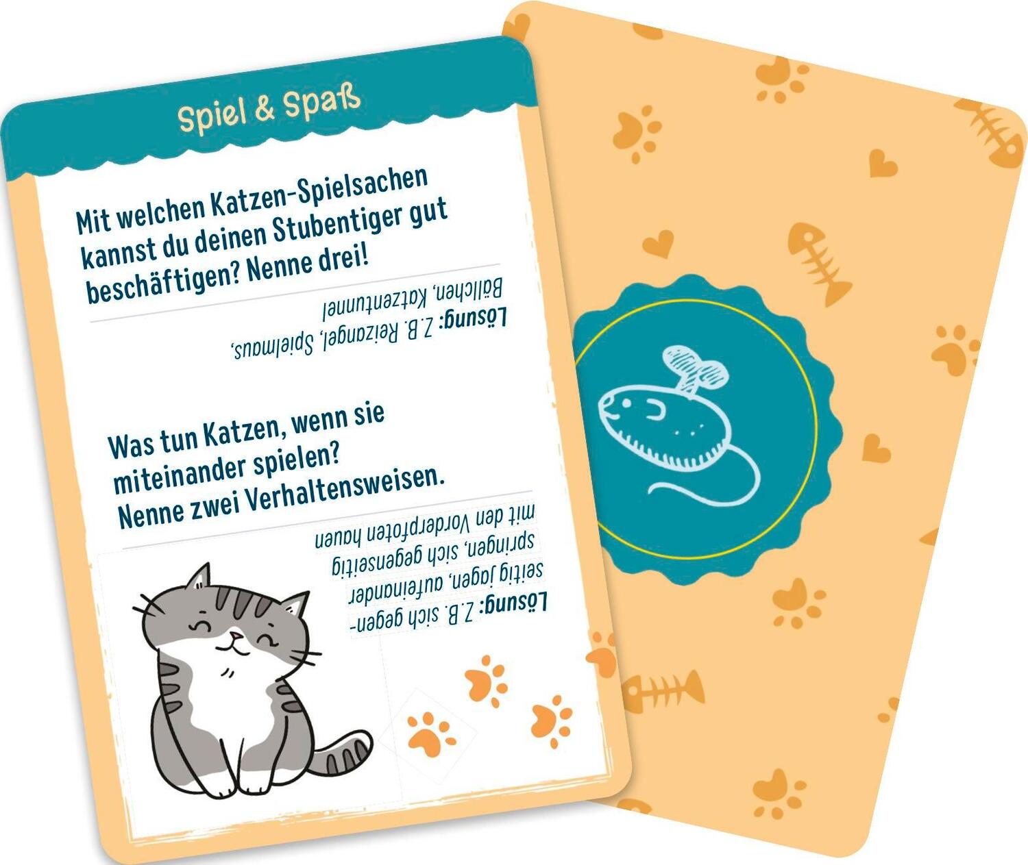 Bild: 4260308345456 | Warum haben Katzen Angst vor Gurken? | Pattloch Verlag | Spiel | 51 S.