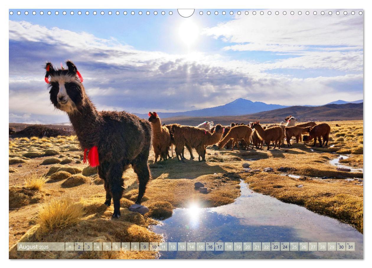 Bild: 9783457199374 | Entdecke Bolivien (Wandkalender 2025 DIN A3 quer), CALVENDO...