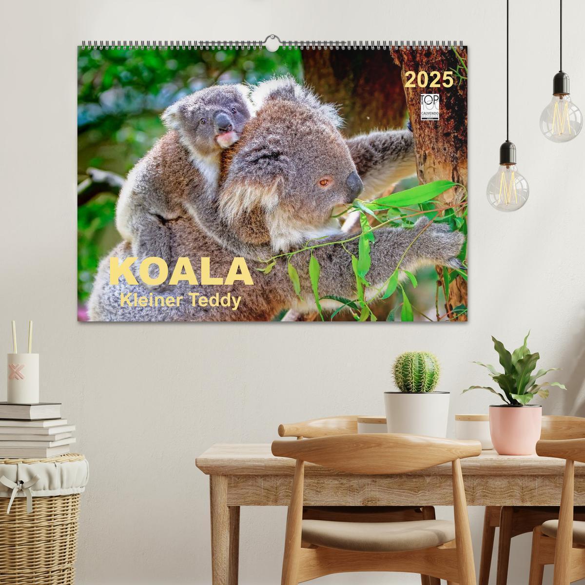 Bild: 9783435587827 | Koala - kleiner Teddy (Wandkalender 2025 DIN A2 quer), CALVENDO...