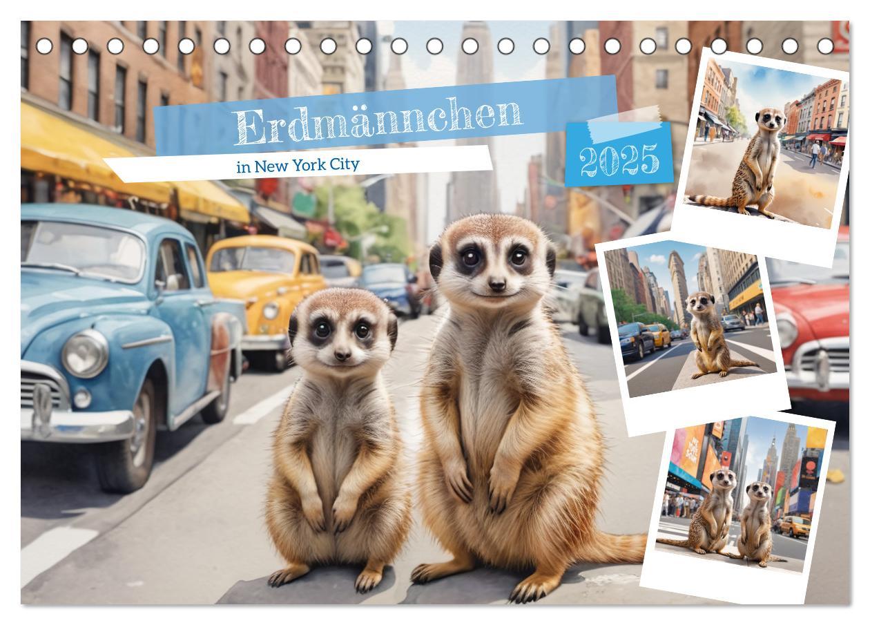 Cover: 9783383797972 | Erdmännchen in New York City (Tischkalender 2025 DIN A5 quer),...