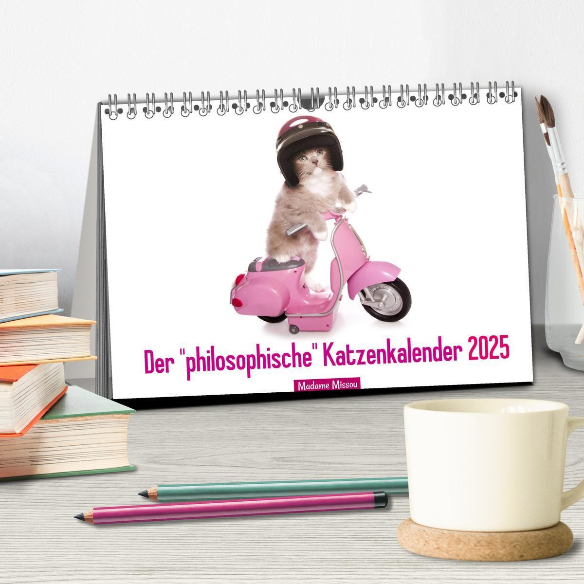 Bild: 9783435619276 | Der "philosophische" Katzenkalender 2025 (Tischkalender 2025 DIN A5...