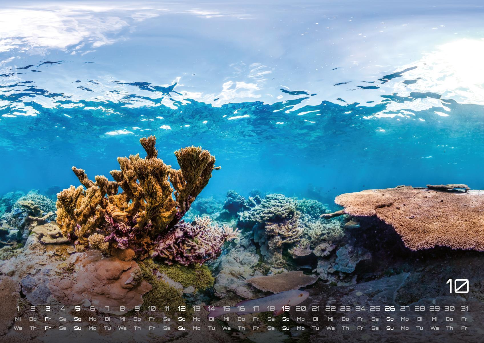 Bild: 9783986734299 | Sealife - verborgene Tiefen - 2025 - Kalender DIN A2 | GP-Fever. de