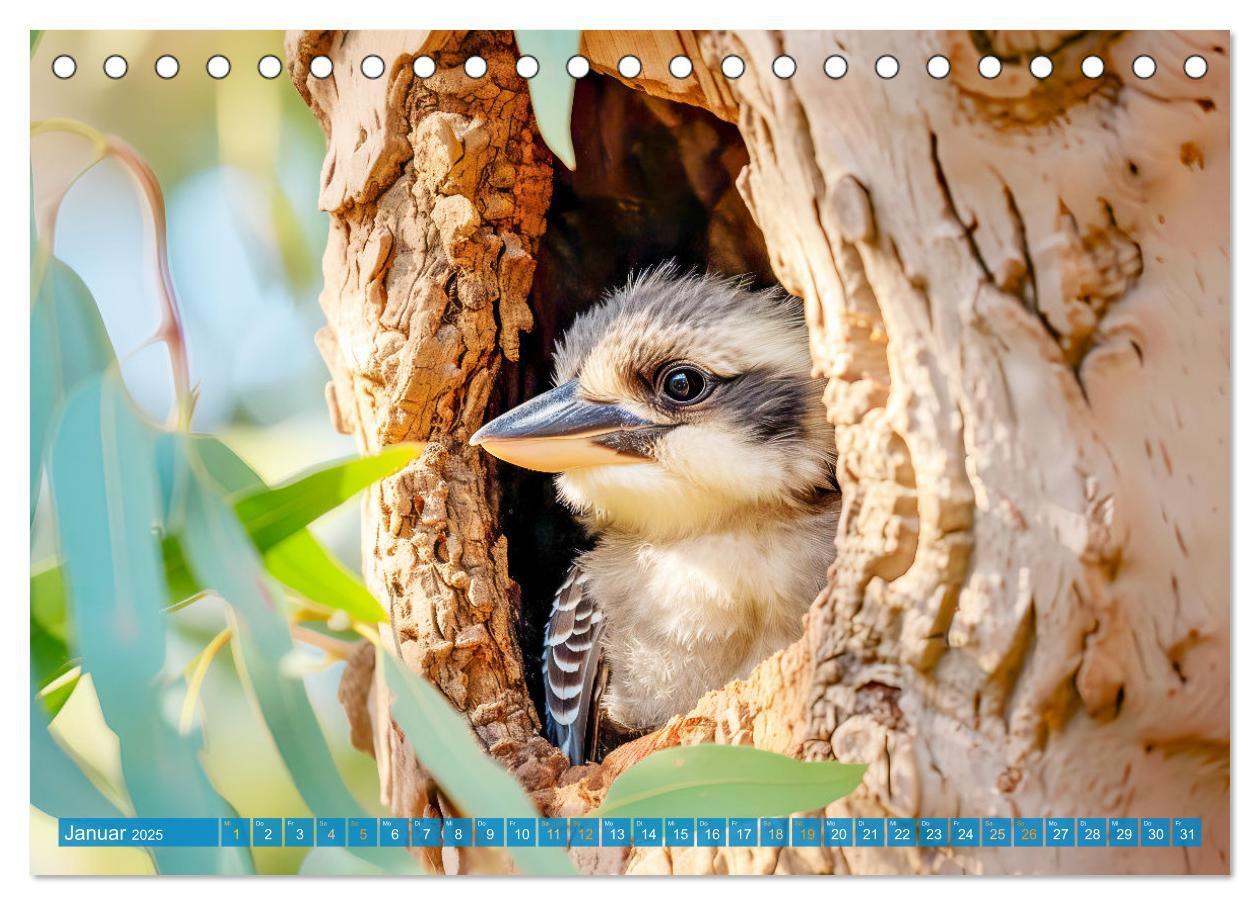 Bild: 9783383777936 | Der Kookaburra - Im australischen Busch mit dem lachenden Hans...