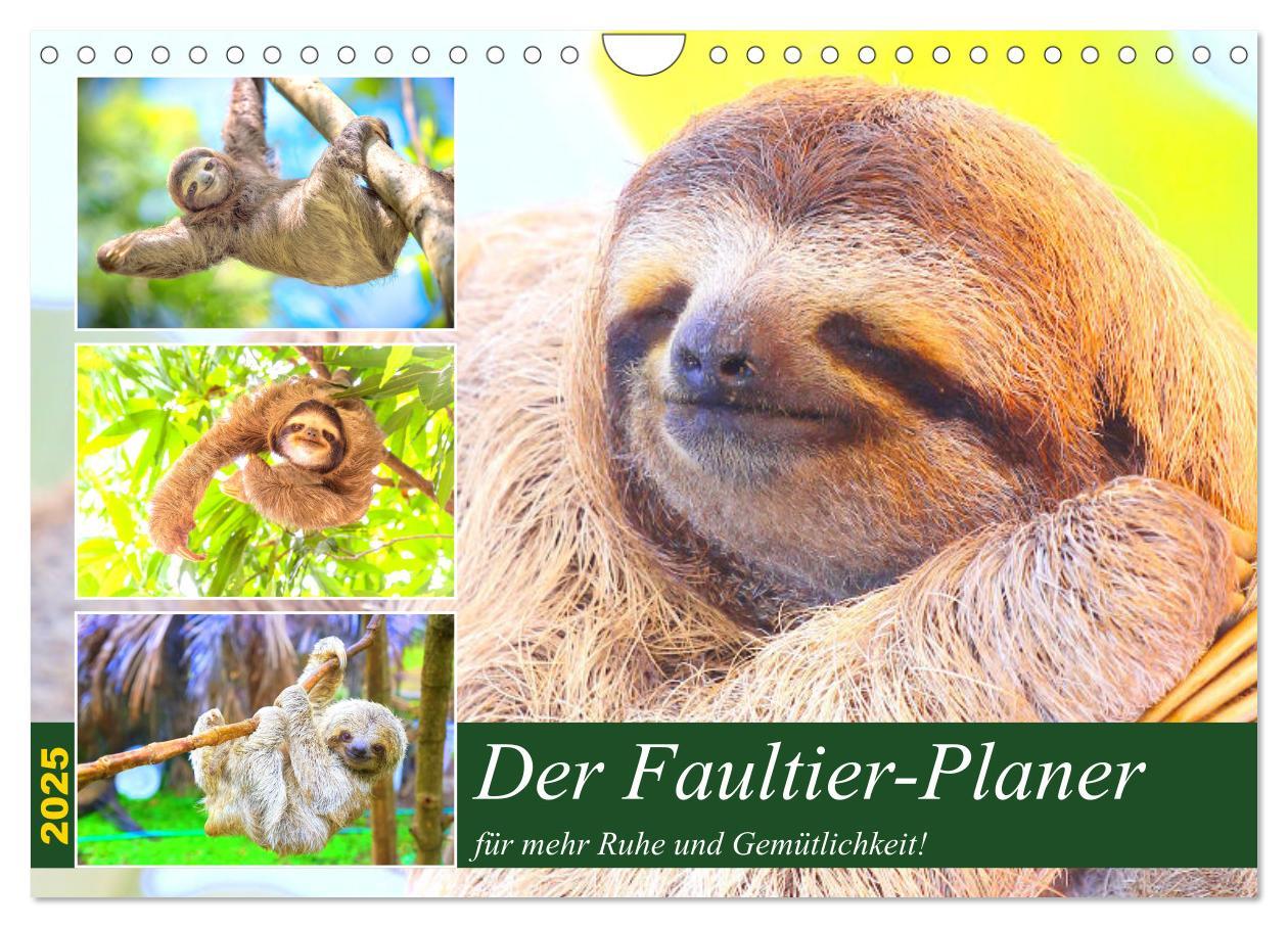 Cover: 9783435050239 | Der Faultier-Planer für mehr Ruhe und Gemütlichkeit! (Wandkalender...