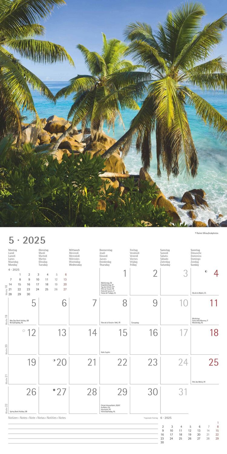 Bild: 4251732340872 | Summer Dreams 2025 - Broschürenkalender 30x30 cm (30x60 geöffnet) -...