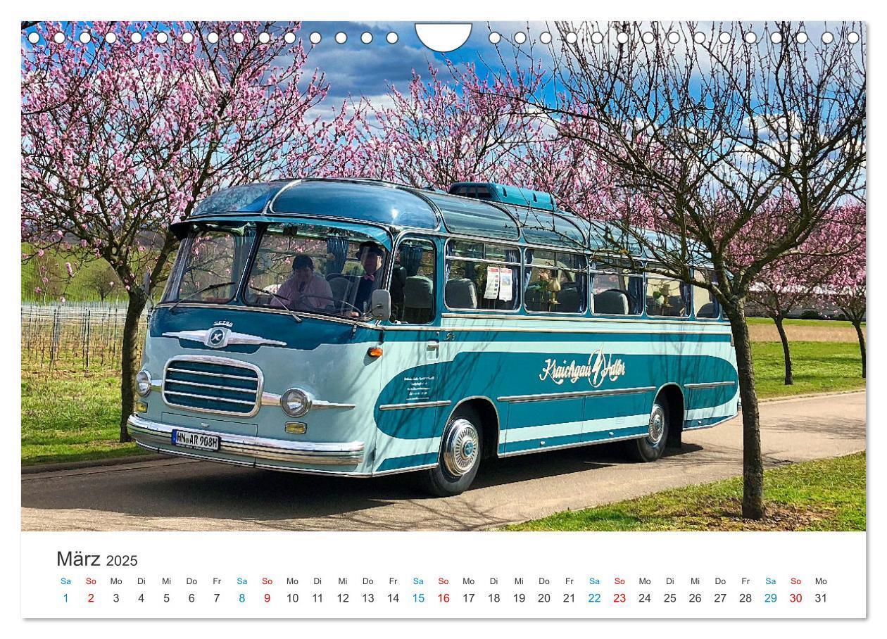 Bild: 9783383829895 | Omnibusse im Fokus (Wandkalender 2025 DIN A4 quer), CALVENDO...