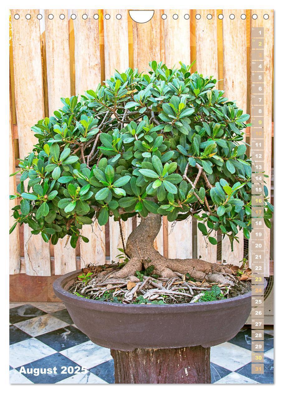 Bild: 9783435848966 | Bonsai: Gartenkunst im Kleinen (Wandkalender 2025 DIN A4 hoch),...