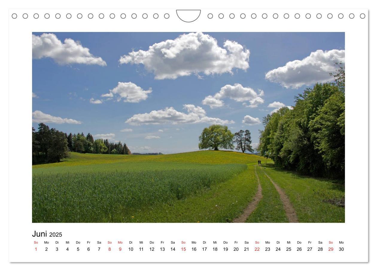 Bild: 9783435557103 | Weingarten und Umgebung 2025 (Wandkalender 2025 DIN A4 quer),...