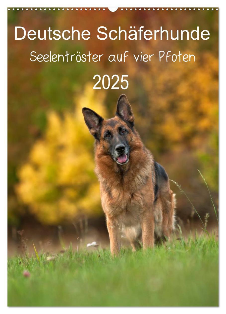 Cover: 9783457025895 | Deutsche Schäferhunde - Seelentröster auf vier Pfoten (Wandkalender...