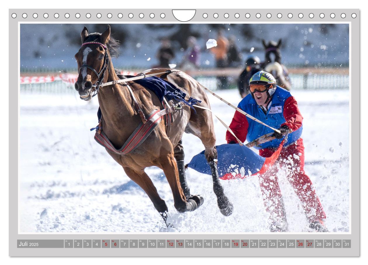 Bild: 9783435058884 | Pferde-Rennen auf Schnee und im Wasser (Wandkalender 2025 DIN A4...