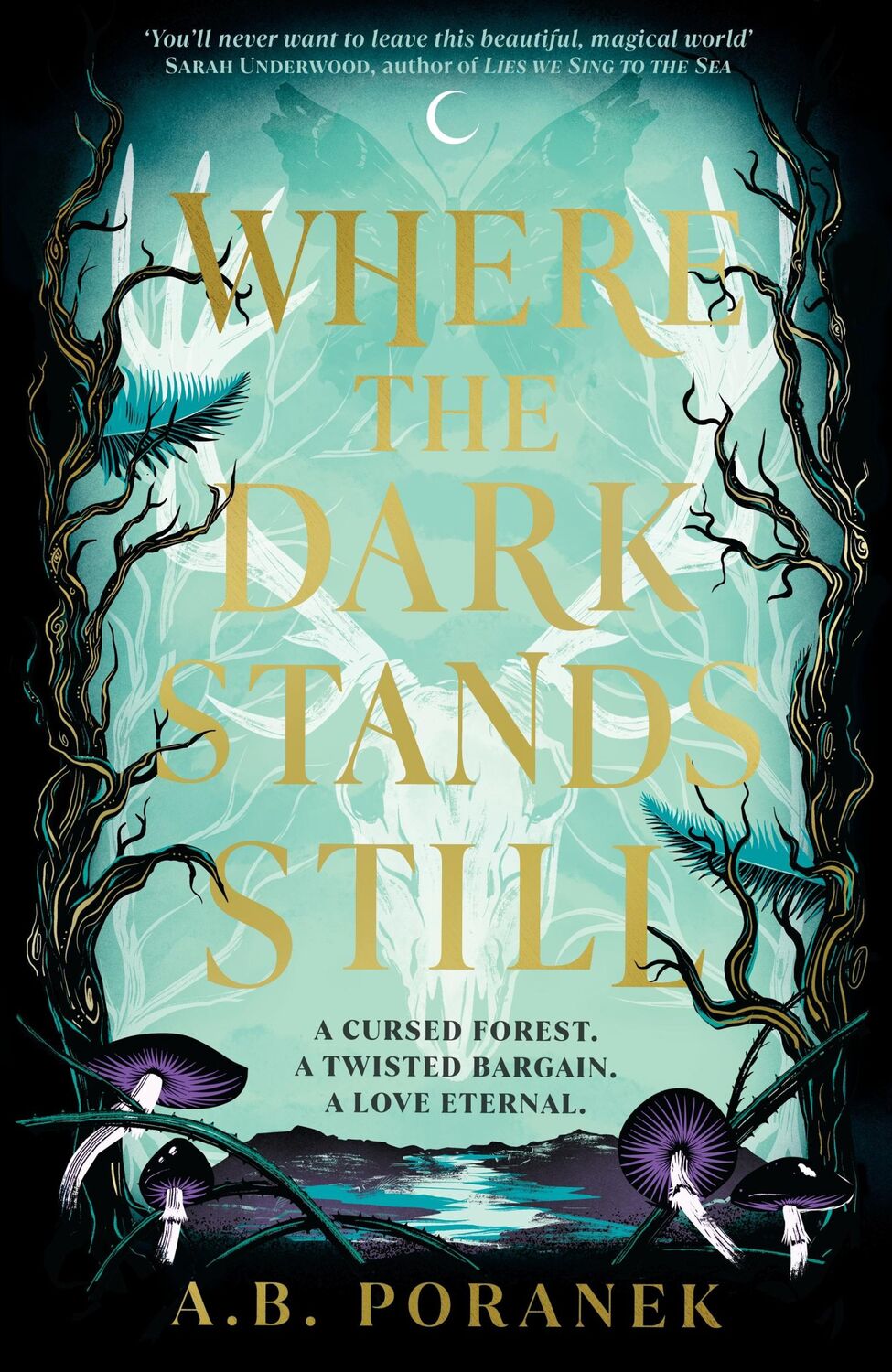 Cover: 9780241622162 | Where the Dark Stands Still | A. B. Poranek | Taschenbuch | 416 S.