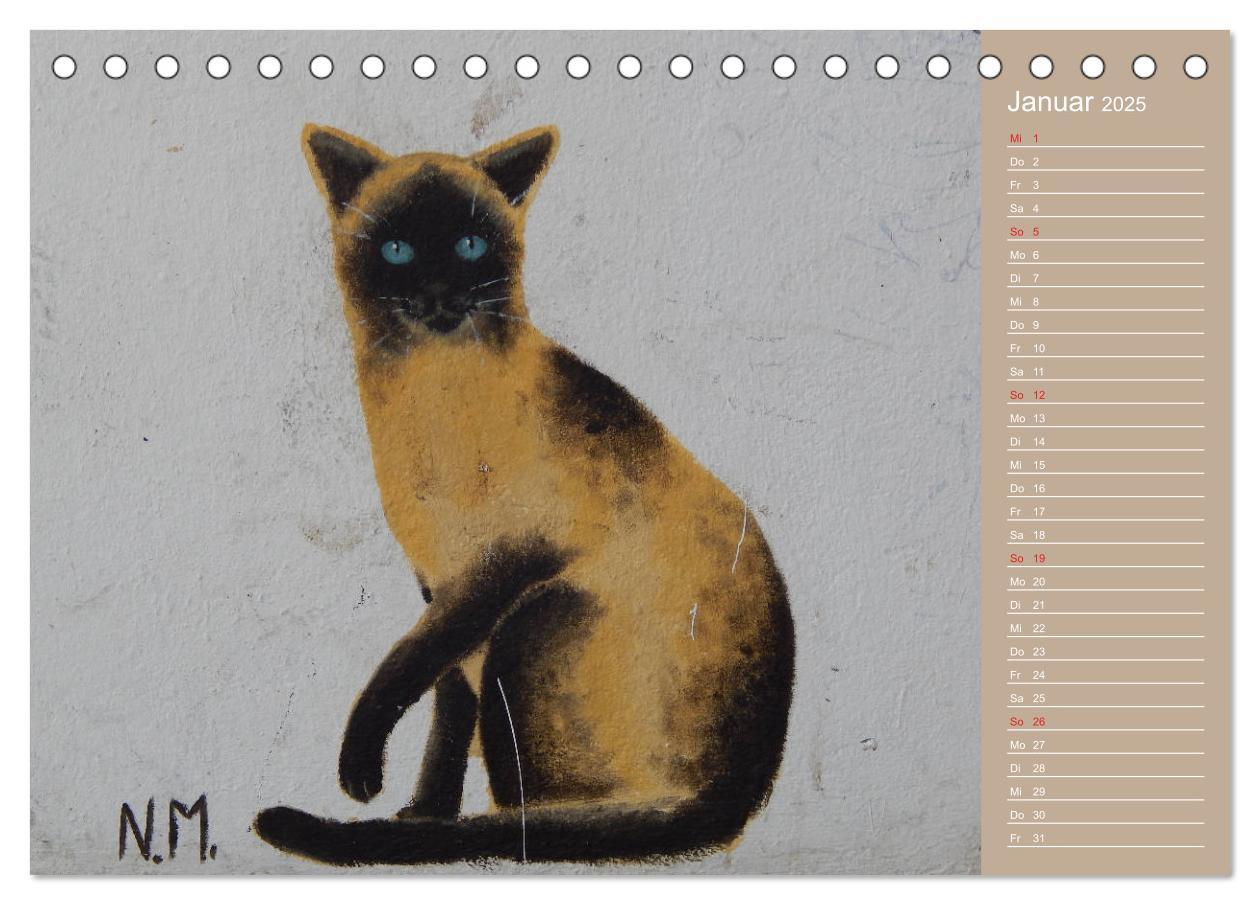 Bild: 9783435289288 | Flensburger Katzen (Tischkalender 2025 DIN A5 quer), CALVENDO...