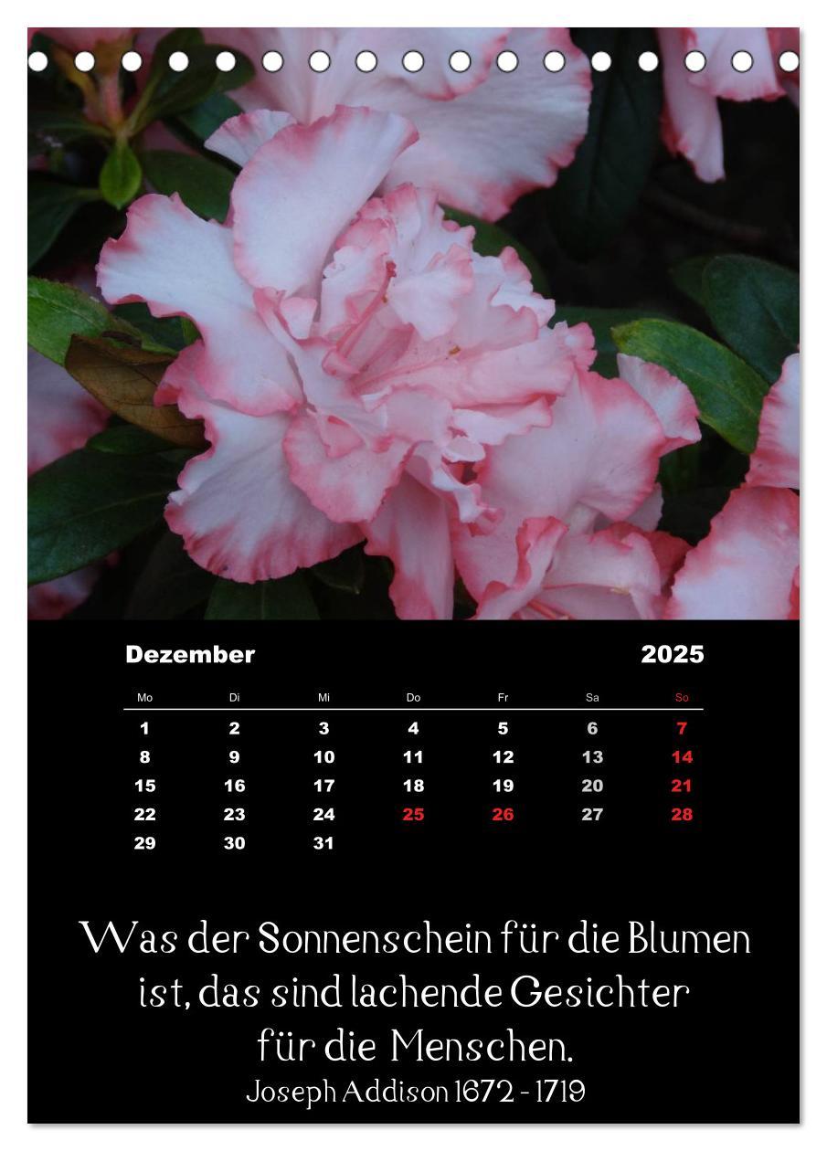 Bild: 9783457085660 | Sprüche und Zitate berühmter Personen über Blumen und Natur...