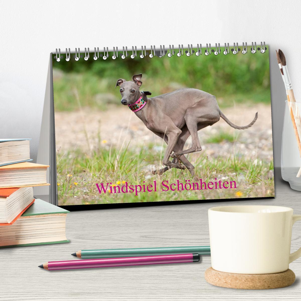 Bild: 9783435336210 | Windspiel Schönheiten (Tischkalender 2025 DIN A5 quer), CALVENDO...