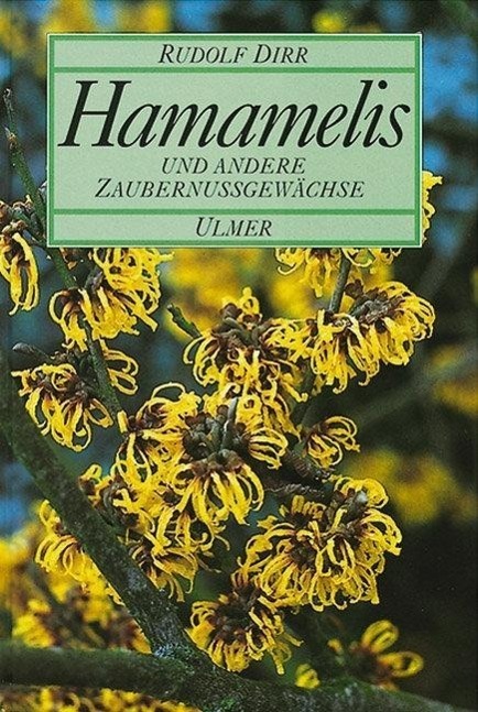 Cover: 9783800165384 | Hamamelis | Und andere Zaubernußgewächse | Rudolf Dirr | Buch | 156 S.