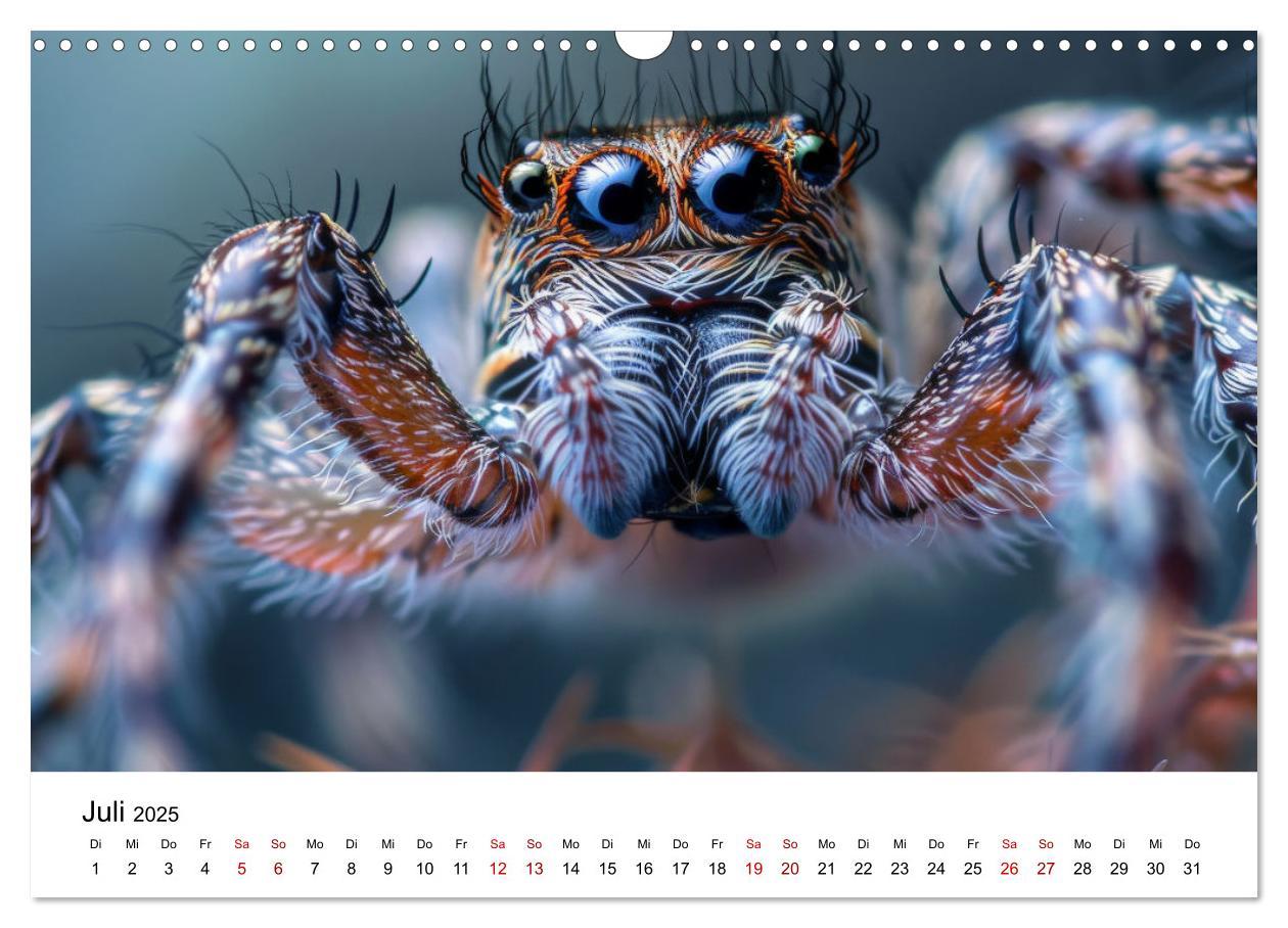 Bild: 9783383799754 | Insekten hautnah (Wandkalender 2025 DIN A3 quer), CALVENDO...