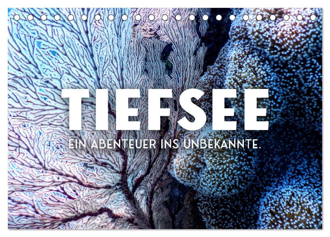 Cover: 9783383937552 | Tiefsee - Ein Abenteuer ins Unbekannte. (Tischkalender 2025 DIN A5...