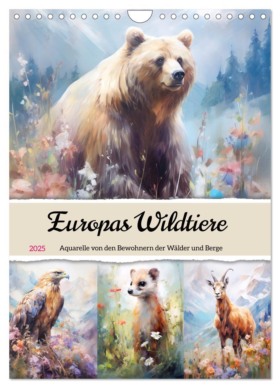 Cover: 9783435863808 | Europas Wildtiere. Aquarelle von den Bewohnern der Wälder und Berge...