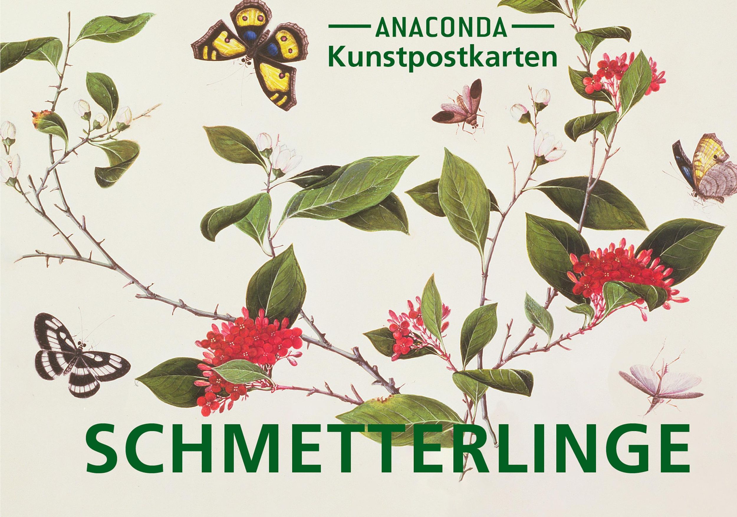 Cover: 9783730615041 | Postkarten-Set Schmetterlinge | Anaconda Verlag | Taschenbuch | 20 S.