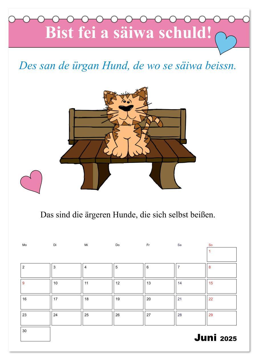 Bild: 9783457038369 | So a Schmarrn! Bairische Mundart (Tischkalender 2025 DIN A5 hoch),...