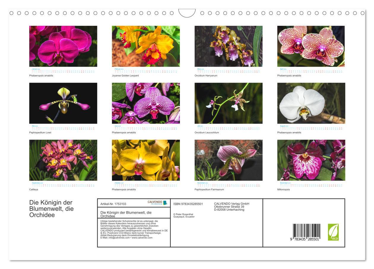 Bild: 9783435285501 | Die Königin der Blumenwelt, die Orchidee (Wandkalender 2025 DIN A3...