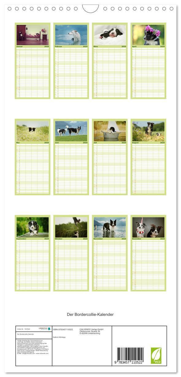 Bild: 9783457110522 | Familienplaner 2025 - Der Bordercollie-Kalender mit 5 Spalten...