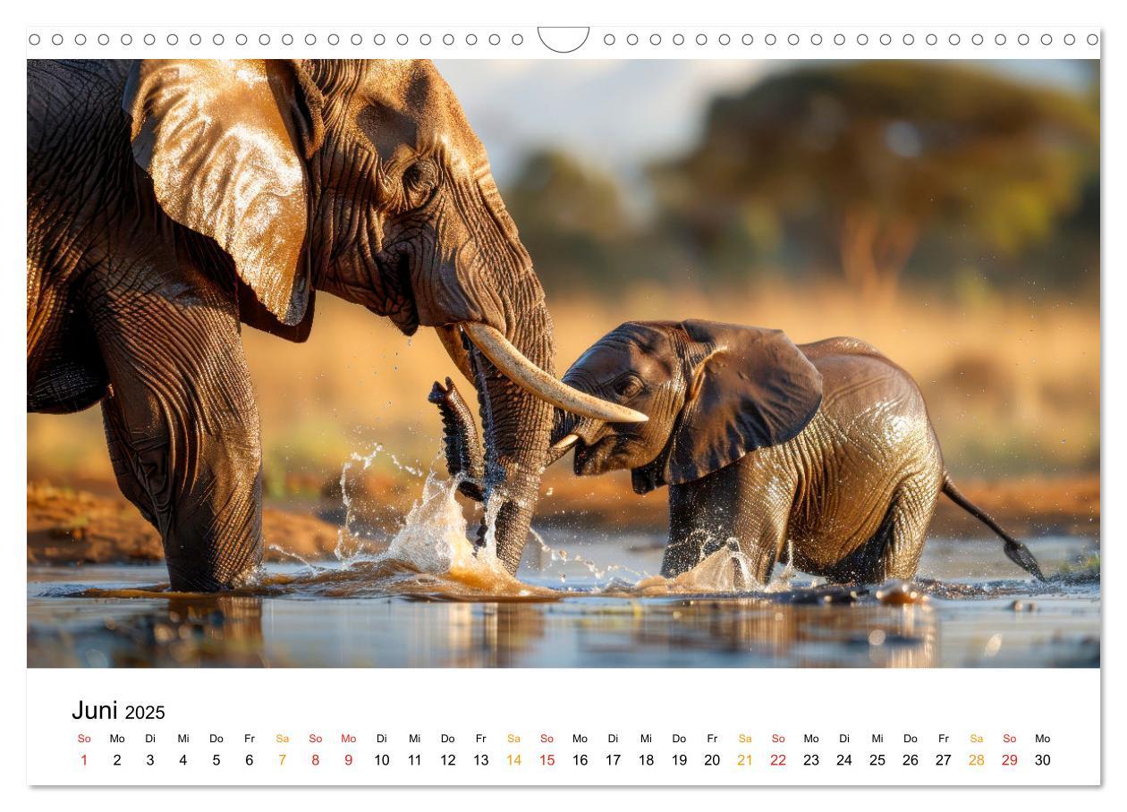 Bild: 9783457240472 | Elefanten - Riesen der Wildnis (Wandkalender 2025 DIN A3 quer),...