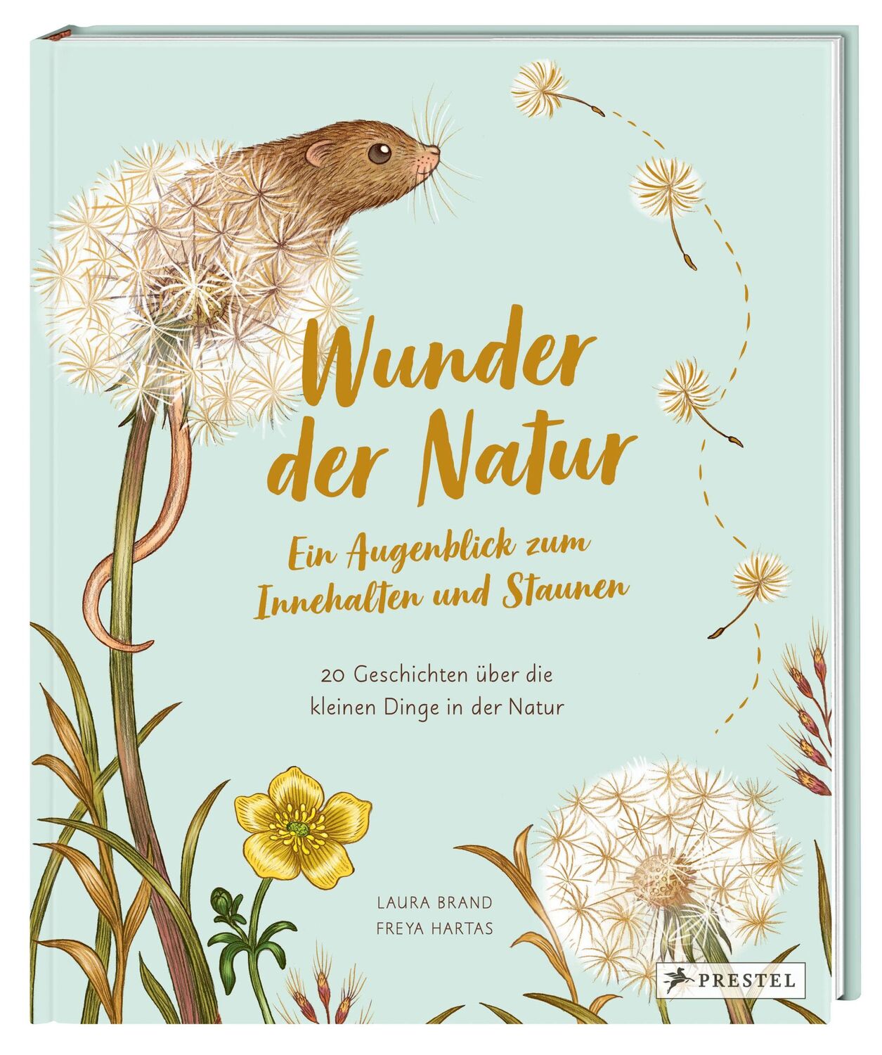 Bild: 9783791375434 | Wunder der Natur. Ein Augenblick zum Innehalten und Staunen | Buch