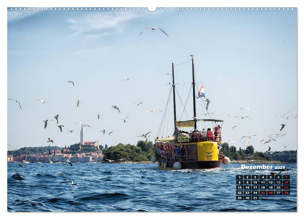 Bild: 9783435570232 | Wie ein Vogel in Rovinj! (Wandkalender 2025 DIN A2 quer), CALVENDO...