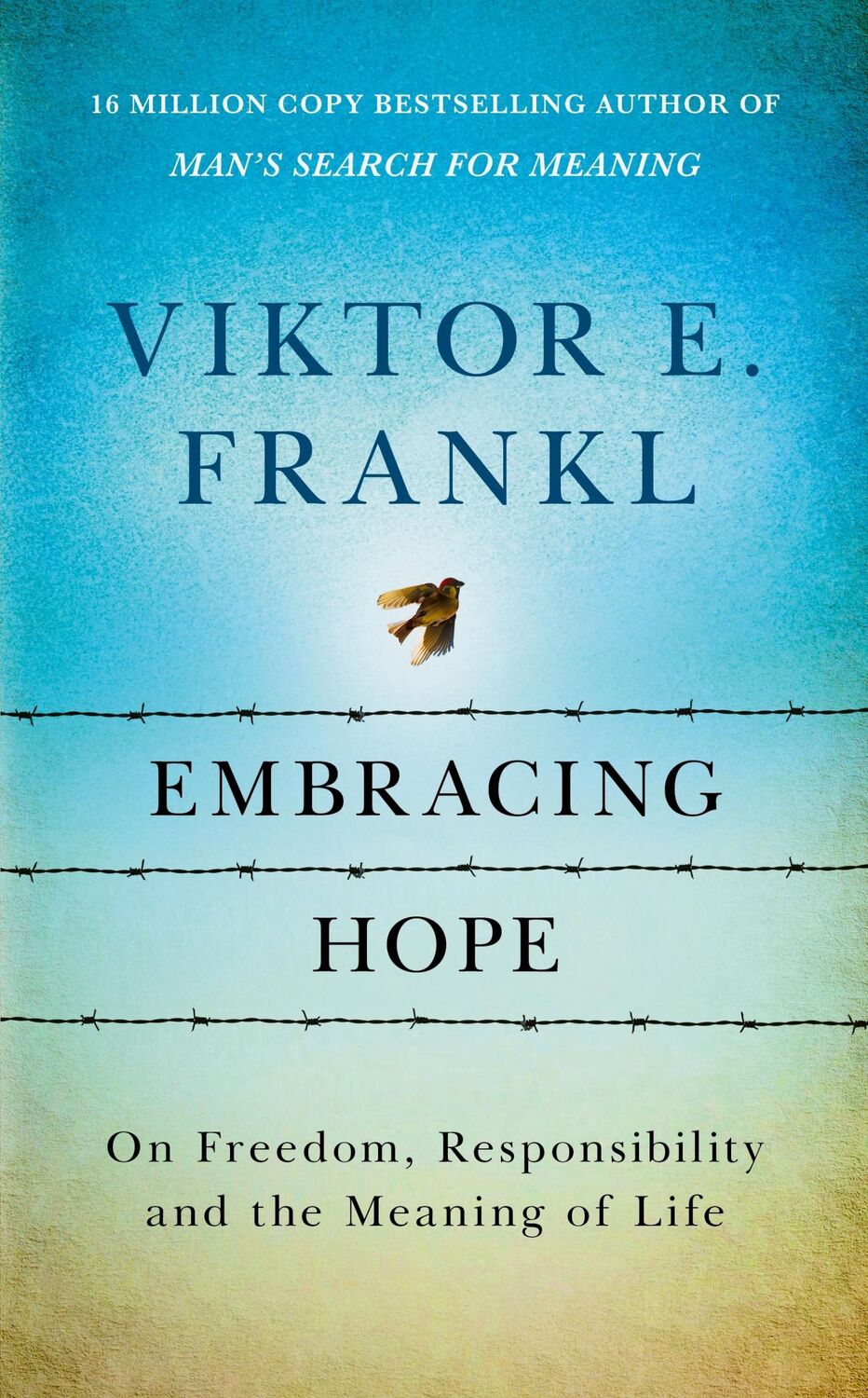 Cover: 9781846047879 | Embracing Hope | On Freedom, Responsibility &amp; the Meaning of Life