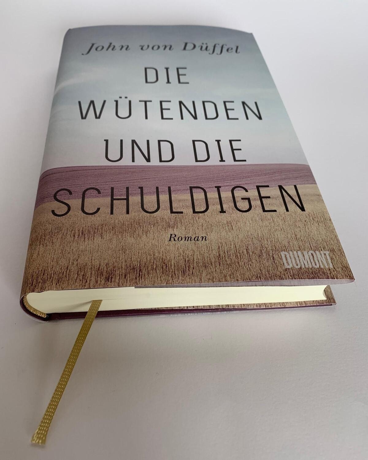 Bild: 9783832181635 | Die Wütenden und die Schuldigen | Roman | John von Düffel | Buch