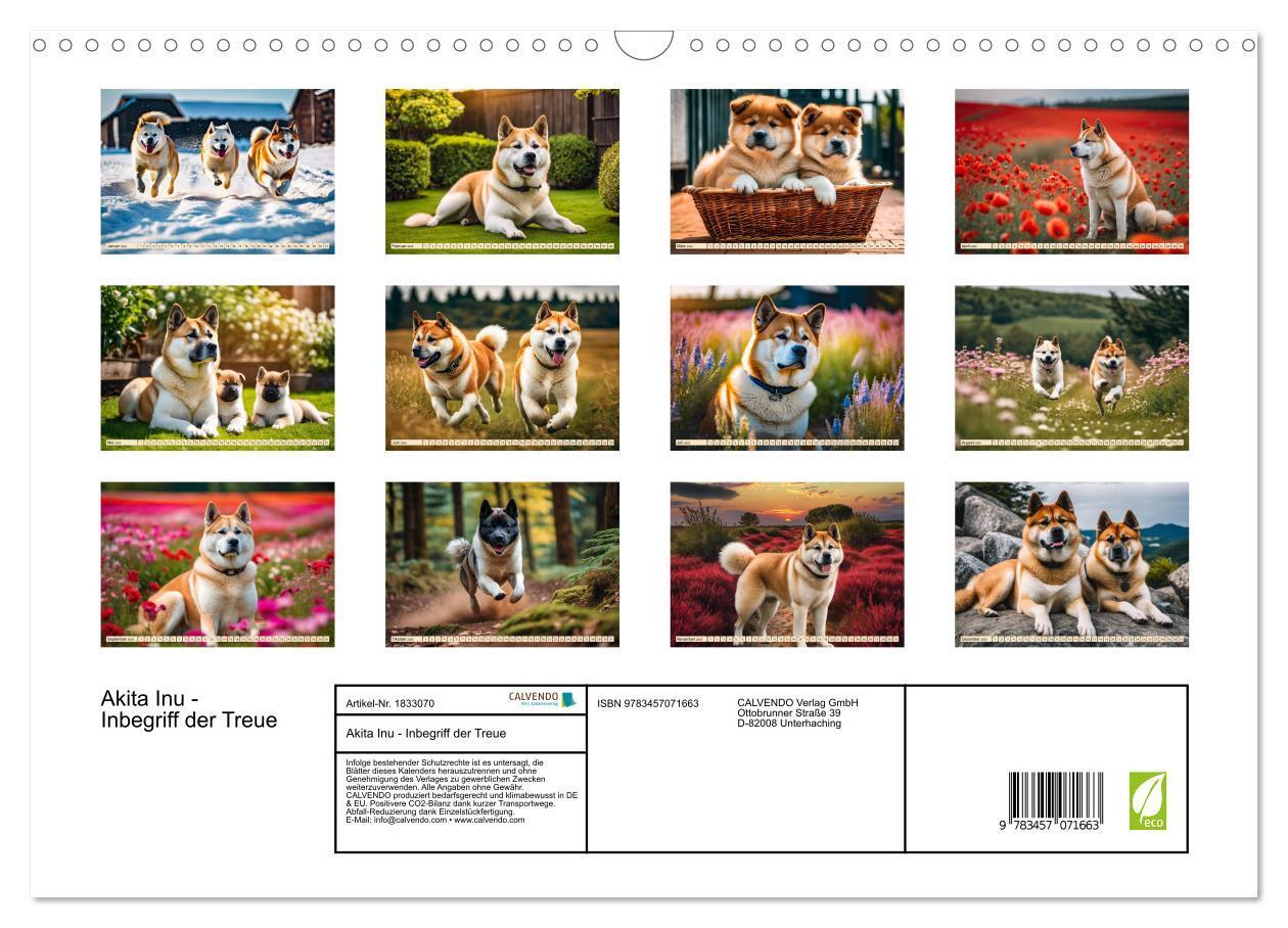 Bild: 9783457071663 | Akita Inu - Inbegriff der Treue (Wandkalender 2025 DIN A3 quer),...