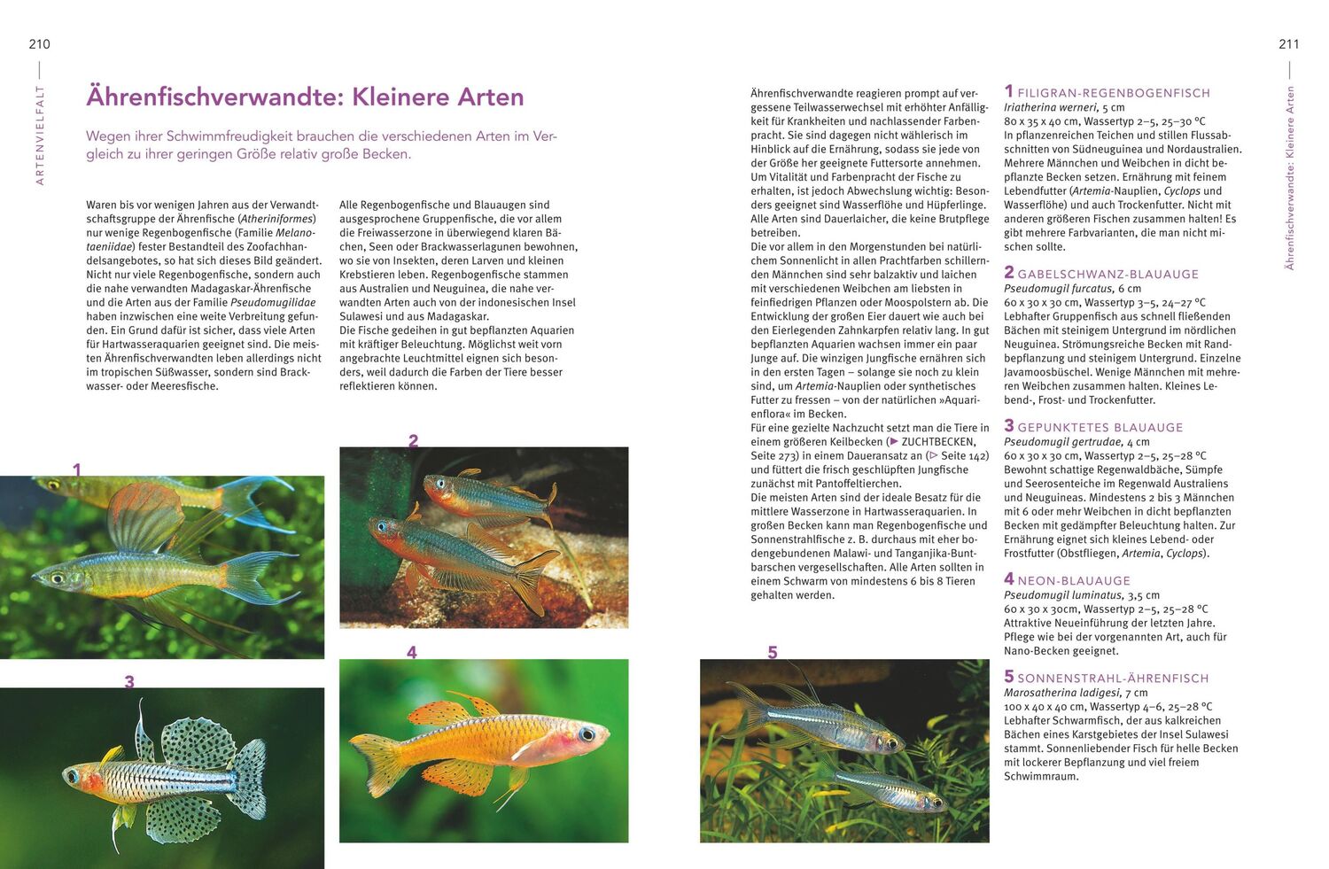 Bild: 9783833861390 | Praxishandbuch Aquarium | Ulrich Schliewen | Buch | 288 S. | Deutsch