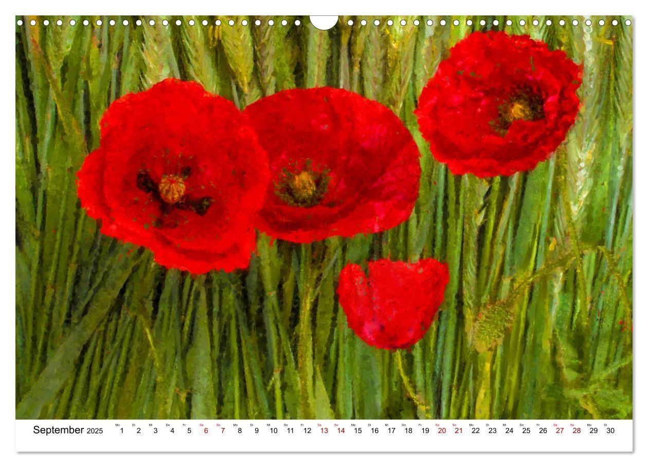 Bild: 9783383983825 | Bunte Mohnblumen - Impressionen der Mohnblüte in Acrylfarbe...