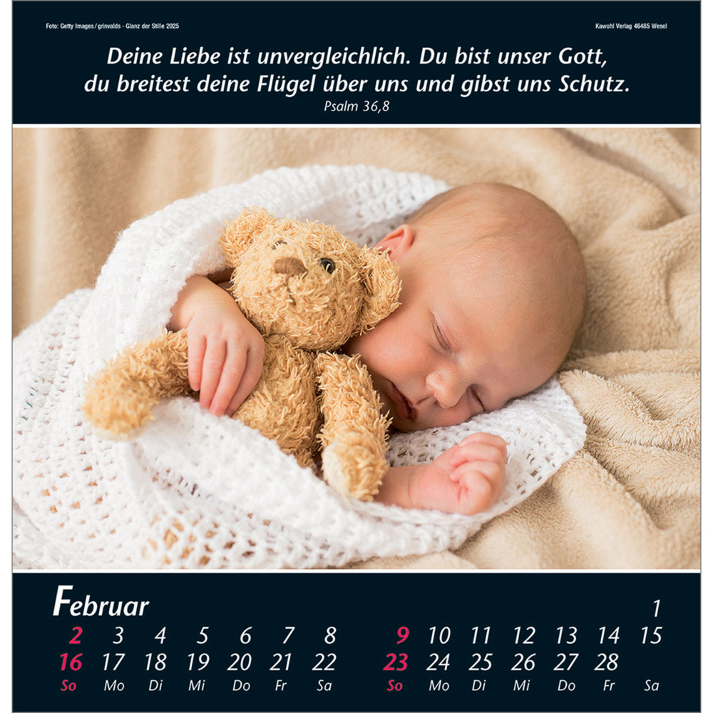 Bild: 9783754820056 | Glanz der Stille 2025 | Psalmworte und Farbfotos zur Besinnung | 14 S.